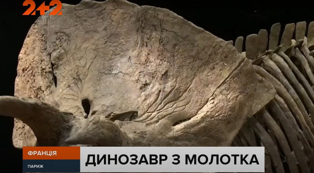 Продали с молотка: в Париже коллекционер купил скелет динозавра, которому 66 миллионов лет