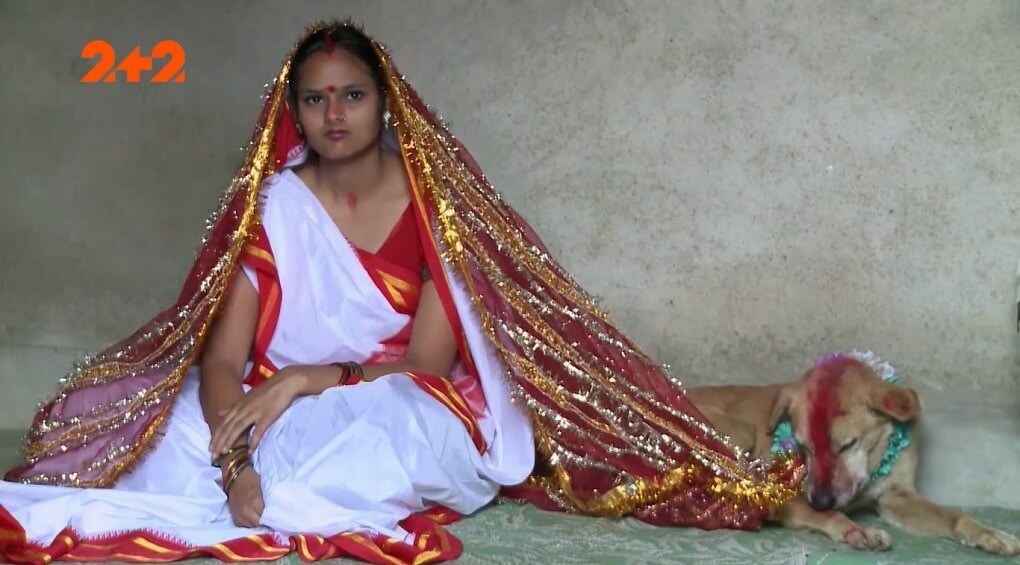 Вышла замуж за собаку: почему индианка выбрала животное вместо мужчины
