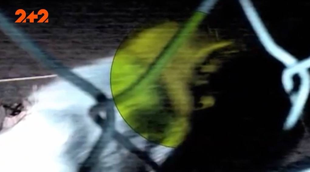 Оборотни в Калифорнии: камера видеонаблюдения сняла какое-то неизвестное существо