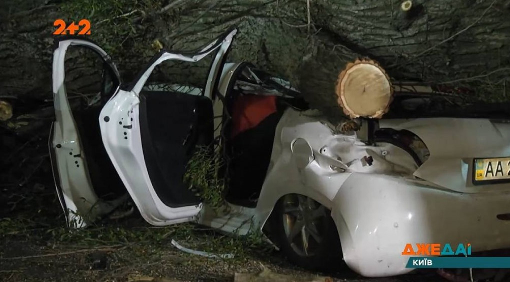 Смертоносный ветер: в столице 20-метровое дерево упало на авто и убило водителя