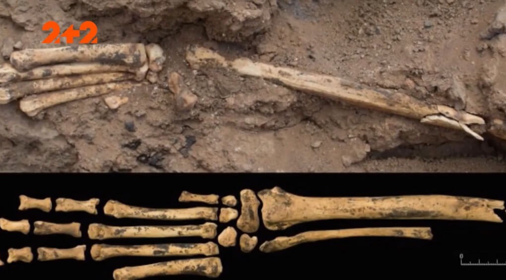 Велетні жили 11 тисяч років тому: археологи знайшли скелет заввишки 3 метри
