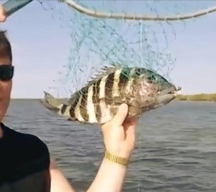 Риба із людськими зубами: американські рибалки були шоковані своїм уловом ВІДЕО
