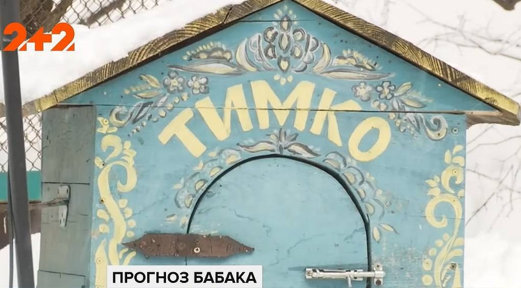 Народний синоптик, харківський бабак Тимко ІІІ, спрогнозував прихід весни