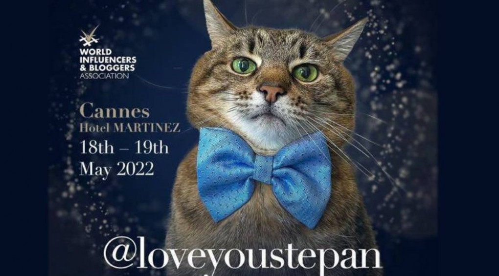 Instagram-зірку кота Степана з Харкова номінували на найпрестижнішу премію блогерів