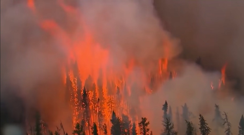 Росія у вогні: чому ніхто не гасить лісові пожежі в рф