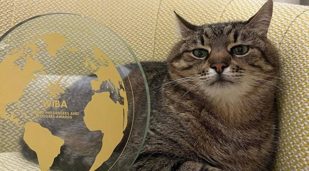 Влиятельные украинцы и их животные: кота-блогера Степана наградили международной премией