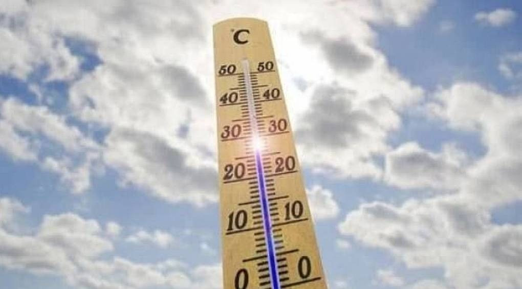 Найтепліший червень за останні 142 роки: у Києві зафіксували новий температурний рекорд