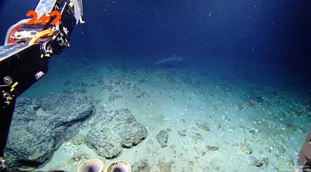 Акула-призрак: океанологи на глубине двух тысяч метров обнаружили доисторическое существо, пережившее динозавров