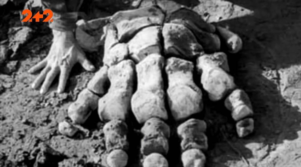 Гиганты Амазонки: археологи нашли 8-метровые скелеты подобные человеческим
