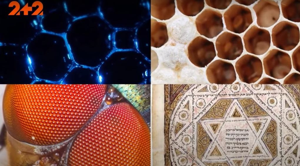 Шокуючі факти про шестикутник: чому саме він найчастіше трапляється у природі, магічних книгах та працях з алхімії?