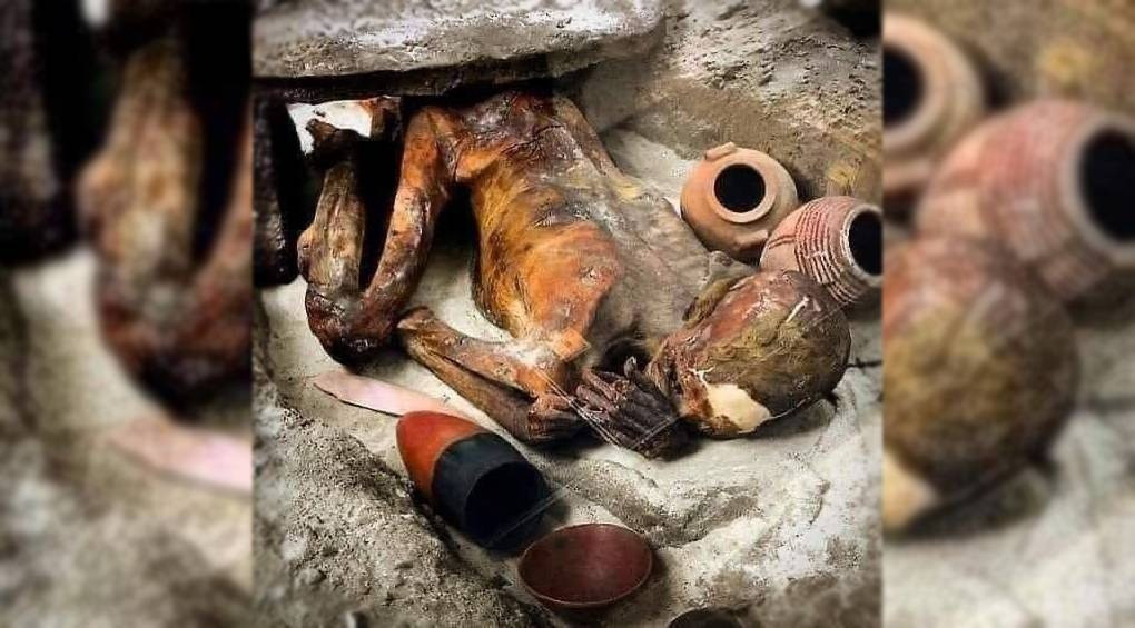 Шокирующие исследования: старейшая египетская мумия в истории человечества «Джинджер» была убита ножом в спину