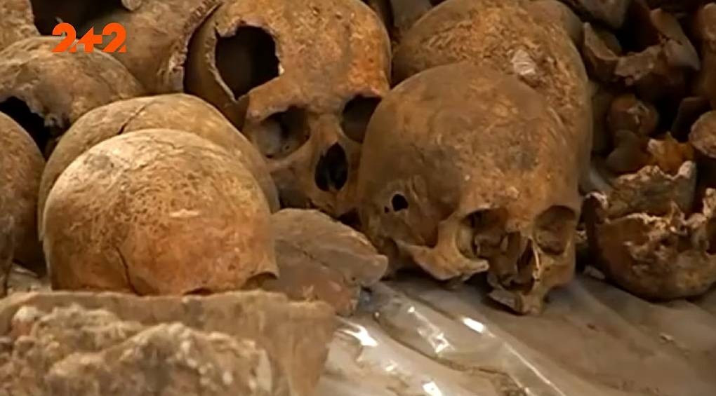 Сорок скелетів – чоловічі, жіночі та навіть дитячі: в острозькій церкві будівельник випадково знайшов людські рештки