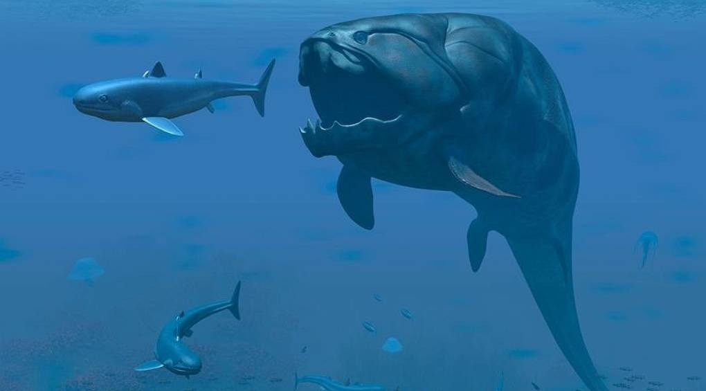 Гігантська «інопланетна риба» в озері США: вчені знайшли докази існування 4-метрового монстра