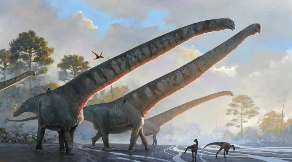 Его шея в шесть раз длиннее шеи жирафа: ученые исследовали останки гигантского динозавра и были шокированы