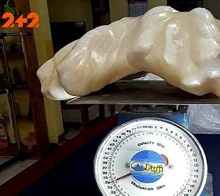 Навіть не здогадувався, що спав на $100 млн: філіппінець зберігав під ліжком найбільшу в історії людства перлину