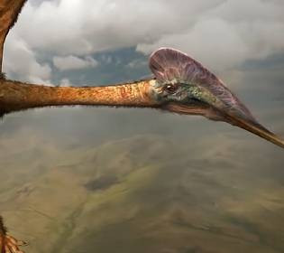 Вчені знайшли у Трансильванії скелет кажана-монстра розміром з жирафа та із розмахом крил у триповерховий будинок