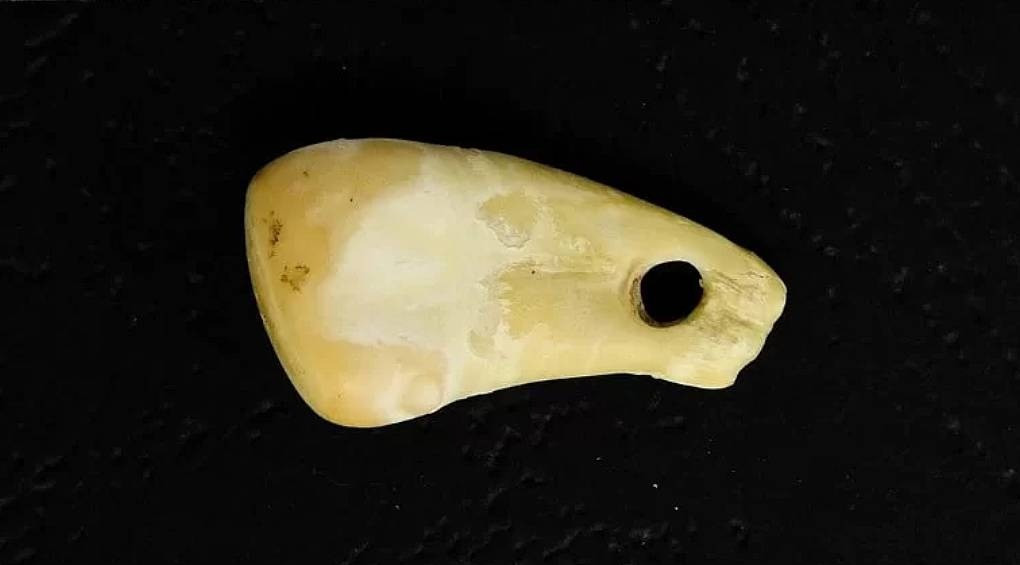 Ученые исследовали кулон пещерного человека и обнаружили на нем ДНК женщины, носившей его около 20 тысяч лет назад