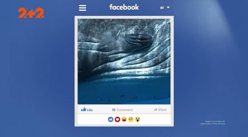 Украинка-эколог поехала создавать «китовый Фейсбук» и едва не стала ужином для морского леопарда