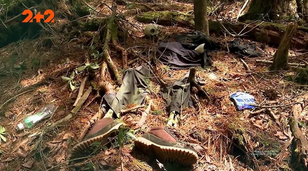 Самогубці японського лісу Аокігахара залишають сліди із різнокольорових стрічок, аби їхні тіла могли знайти