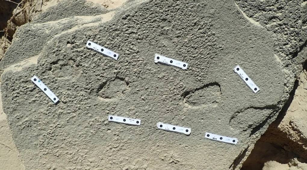 Ученые нашли самое древнее доказательство использования обуви человеком 148 000 лет назад