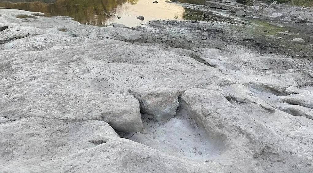 Следы, которым 110 миллионов лет: из-за засухи в Техасе обнаружили наибольшее число найденных там следов динозавров