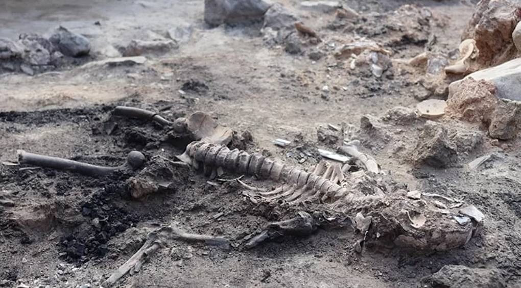 3700-річний мозок і залишки шкіри: в Туреччині вперше розкопали карбонізовані людські рештки бронзової доби