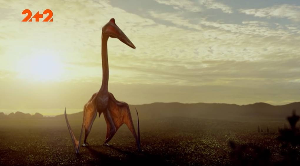 Доісторичні птахи птерозаври серед нас? Загадкові зустрічі з гігантськими істотами в Америці!