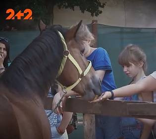 Їх не зупинили артилерійські нальоти та ракети: як небайдужі українці рятували тварин харківського ЕкоПарку?