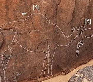 Знайдені вимерлі верблюди: таємниці пустелі Нафуд в Саудівській Аравії