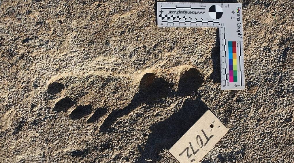 Найдавніші сліди людини у Північній Америці: археологи виявили відбитки ніг, яким від 20 000 до 23 000 років