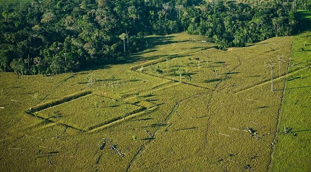 Археологическое сокровище: в бассейне Амазонки может быть более 10 000 ранее неизвестных человеческих сооружений