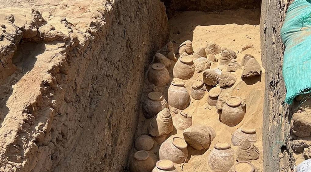 5000-летний напиток царицы: археологи раскопали гробницу египетской королевы и нашли там самое древнее вино в мире