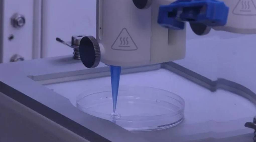 От выпадения волос до реконструкции тканей: ученые возлагают большие надежды на метод 3D-биопечати