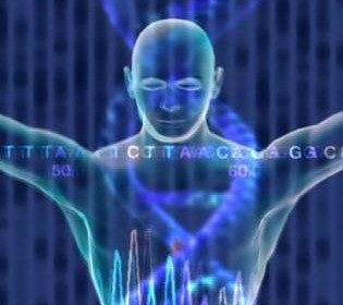Уникальный геном человечества: откуда взялись 223 гена, сделавших человека человеком?