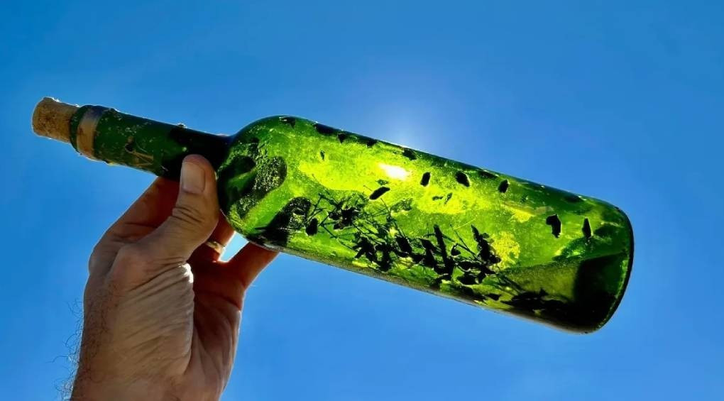 Загадочные «ведьомские» бутылки: на пляжах Мексиканского залива обнаружили таинственные и опасные артефакты