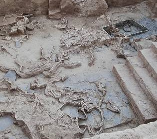 Таємничий світ стародавніх ритуалів: у ямі для жертвоприношень тварин в Іспанії знайшли тисячі кісток 52 істот