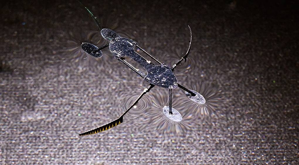 Самые маленькие, самые легкие и быстрые: в Университете Вашингтона разработали уникальных микророботов-насекомых