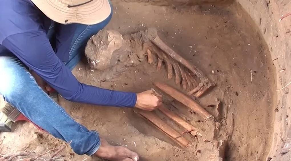 Сенсаційне відкриття в Бразилії: археологи знайшли 10 000-річні рештки людей, невідомої групи