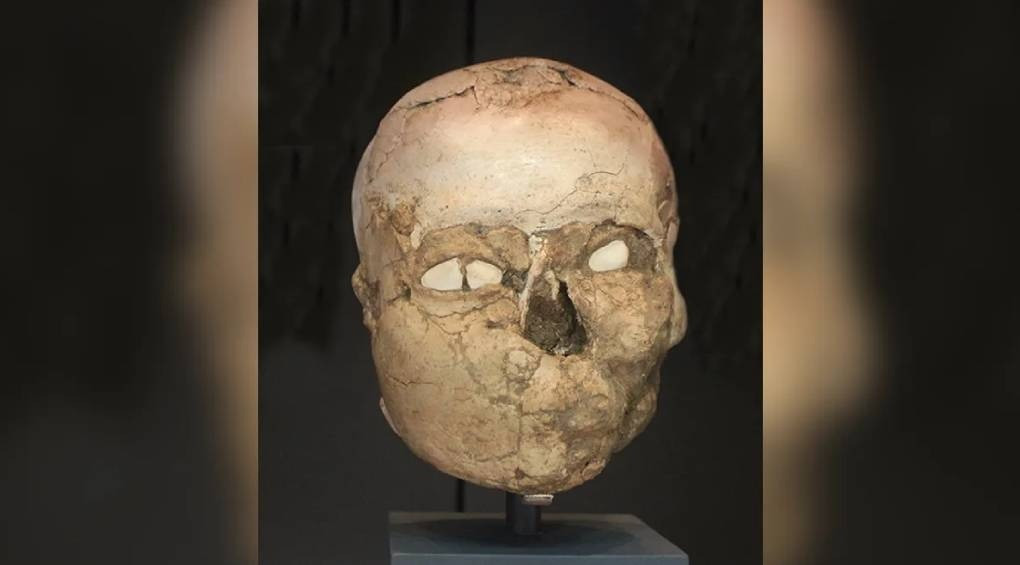 Поклонение предкам или ритуальная загадка? Загипсованные черепа удивили археологов в Турции