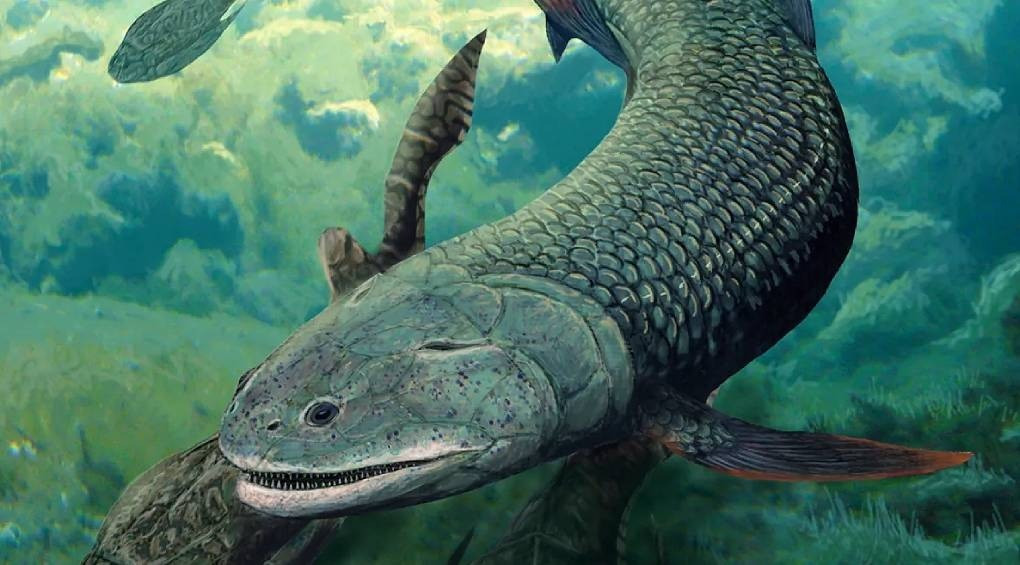 В одном из старейших озер мира обнаружили останки ранее неизвестного вида рыбы, которая 380 млн лет назад дышала воздухом