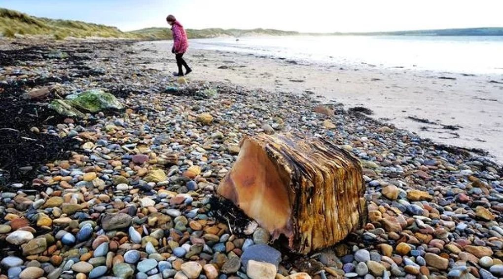 Гумові сторічні простирадла, знайдені на пляжі в Шотландії, можуть бути із затонулого «Титаніка»