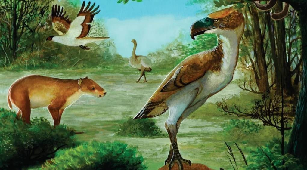 Страшные 2-метровые птицы Антарктиды: археологическое открытие, меняющее представление о прошлом континента