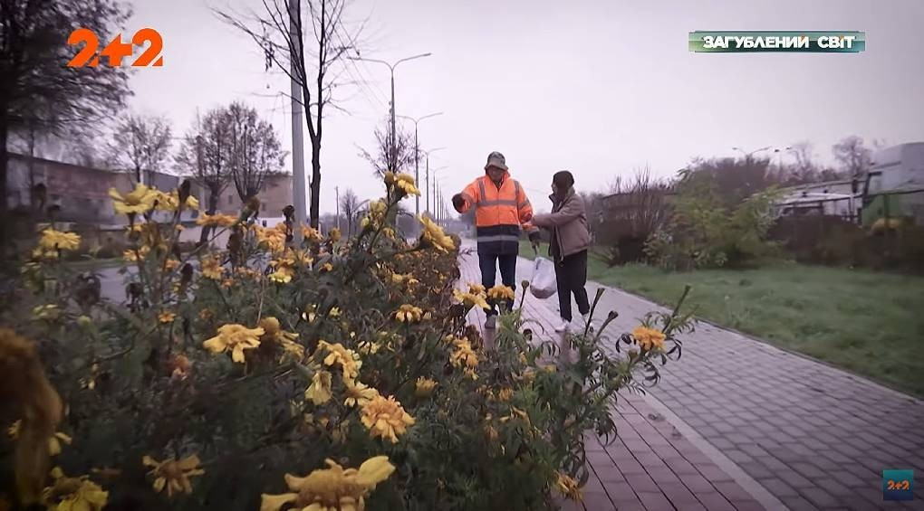 Квітковий митець Луцька: рекордсмен Книги рекордів України понад чверть століття засіває місто тисячами чорнобривців