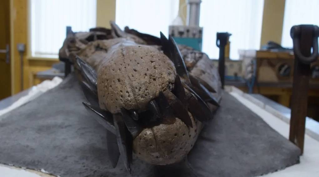 Вбивця тиранозаврів: двометровий череп із 130 гострими зубами морського монстра занесли до Книги рекордів