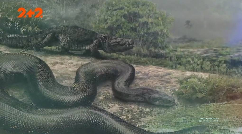 15 метров холодной крови: Vasuki indicus – новая рекордсменка среди доисторических гигантских змей