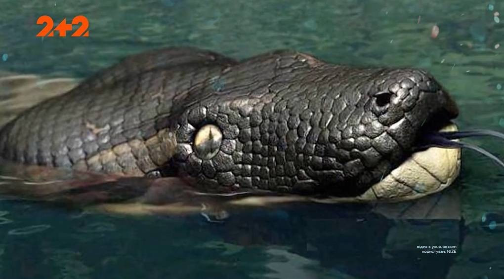 Сенсаційне відео: бразильські рибалки зафільмували гігантську змію, схожу на доісторичного монстра