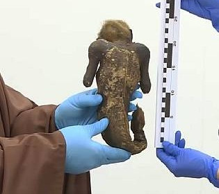 Раскрытие тайны 300-летней мумифицированной русалки: ученые установили происхождение этого таинственного существа