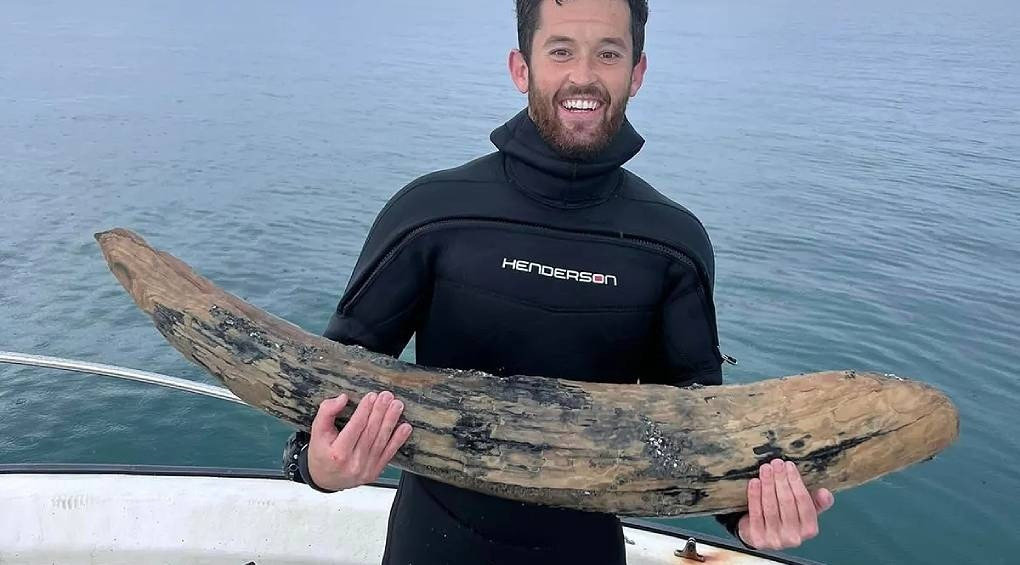 Гігантський бивень мастодонта знайшов 29-річний чоловік у водах Флориди