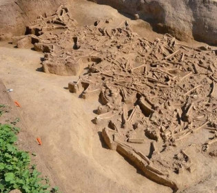 7000-летнее захоронение: 35 безголовых тел, среди которых много несовершеннолетних, нашли в каменном поселении Словакии
