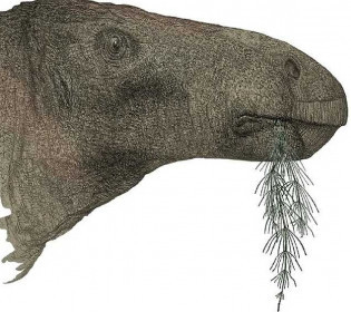 Динозавр с острова Уайт: в Великобритании открыли новый вид динозавра, жившего 125 млн лет назад